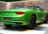 Buy Bentley Luxury Car Apple Green Luxury Car for sale