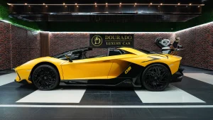 Lamborghini Aventador SV Roadster ONYX-SX Edition Exotic car