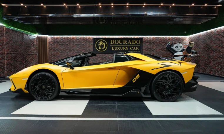 Lamborghini Aventador SV Roadster ONYX-SX Edition Exotic car