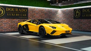 Buy Lamborghini Aventador SV Roadster ONYX-SX Edition