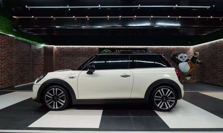 Mini Cooper S White and Brown Exterior