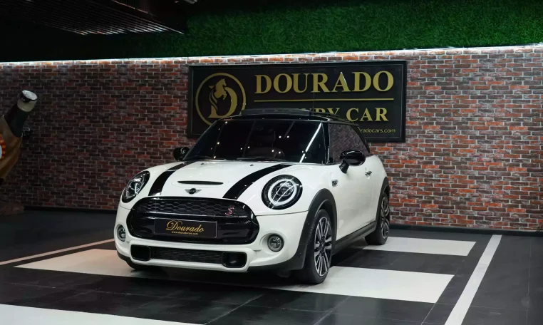 Mini Cooper S White and Brown Exterior