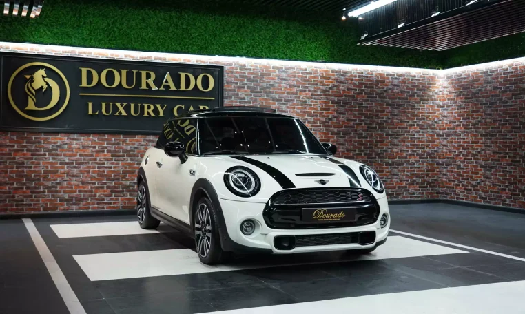 Mini Cooper S White and Brown Exterior