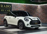 Mini Cooper S White and Brown Exterior