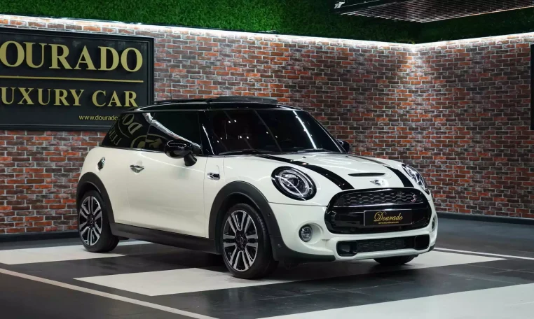 Mini Cooper S White and Brown Exterior