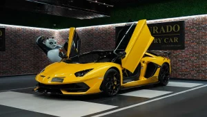 Lamborghini SVJ Roadster for Sale UAE