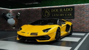 Lamborghini SVJ Roadster Car for Sale