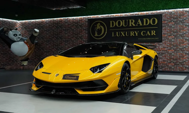 Lamborghini SVJ Roadster Car for Sale