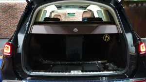 2022 mercedes gls 600 maybach Dealer