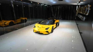 Lamborghini Aventador SV Roadster Onyx SX Edition for sale in Dubai